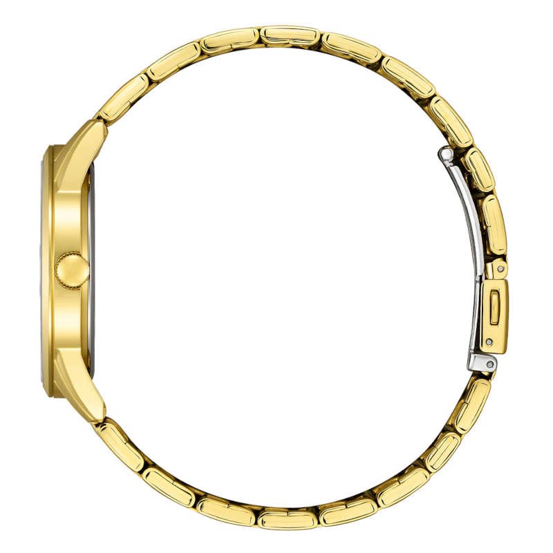 Reloj Citizen Caballero Quartz JO-BI5009-58A